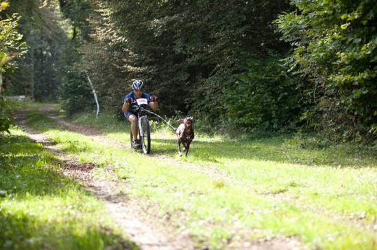 3ème course de canicross de Faïka