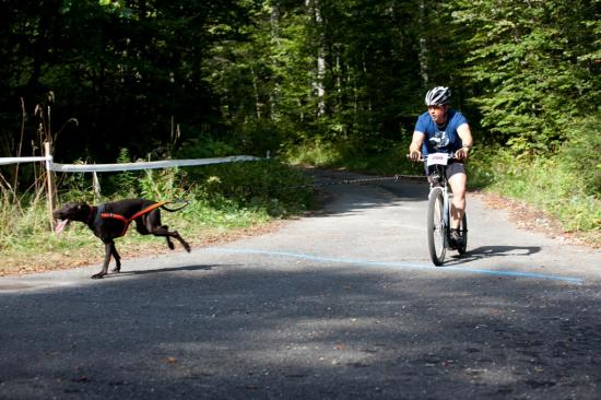 3ème course de canicross de Faïka