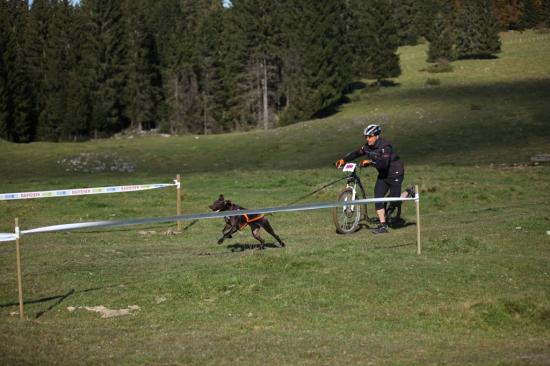4ème course de canicross de Faïka