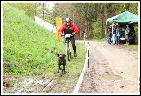 Canix-Trophée Giez 2012
