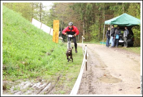 Canix-Trophée Giez 2012