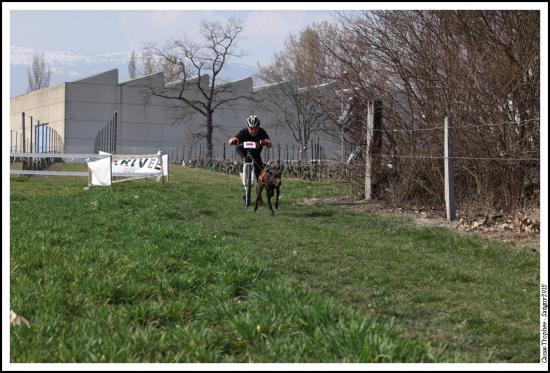 Canix trophée Satigny 2012
