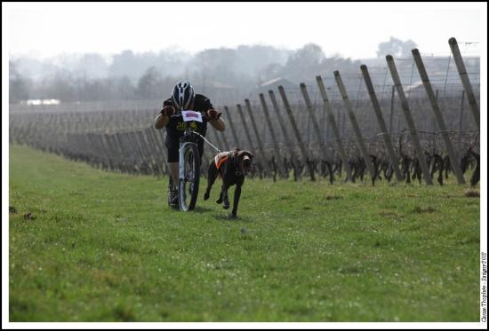 Canix trophée Satigny 2012