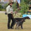 Comice Agricole 2015