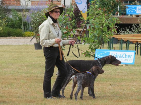 Comice Agricole 2015