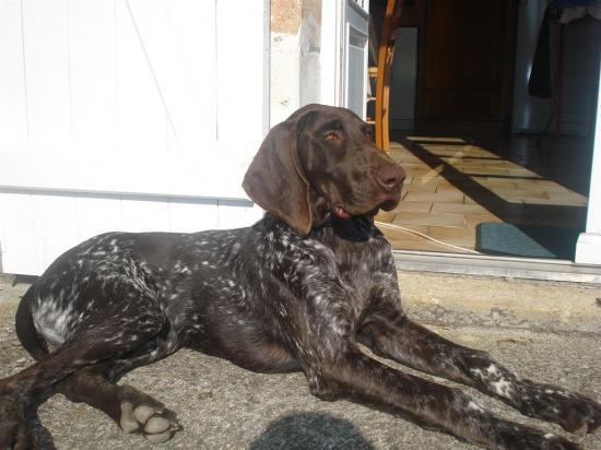 5 mois