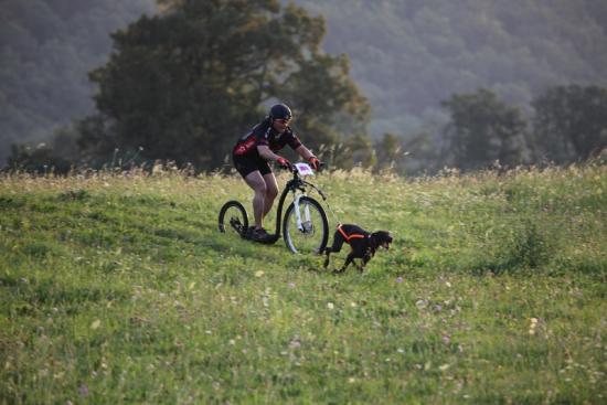 1ère course de canicross de Faïka