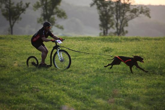 1ère course de canicross de Faïka