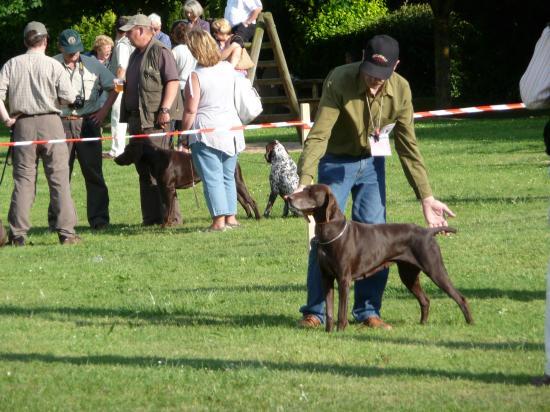 Nationale d'Elevage 2009