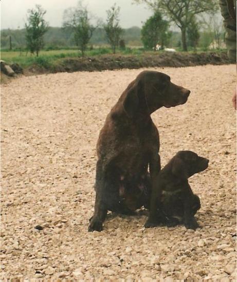 Linda (bébé) et Derbie