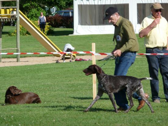 Nationale d'Elevage 2009