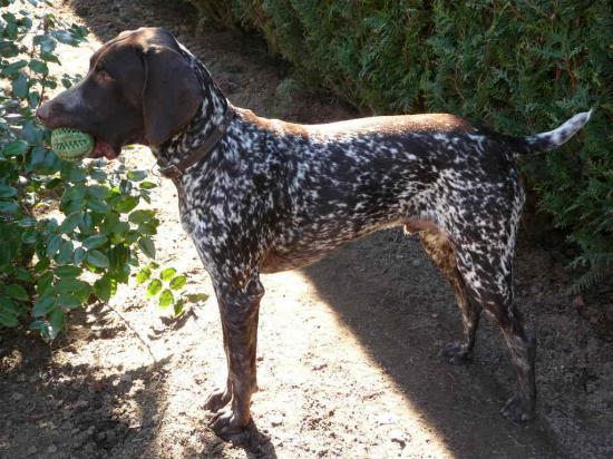 Djimy - 9 mois