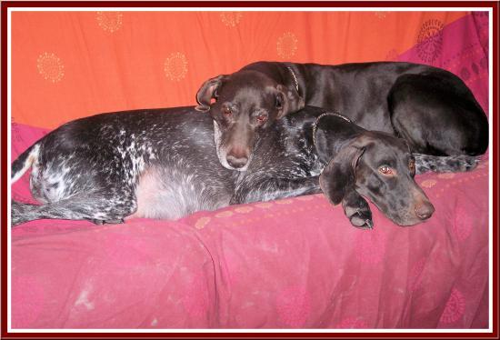 Civa et Ode, moments de tendresse