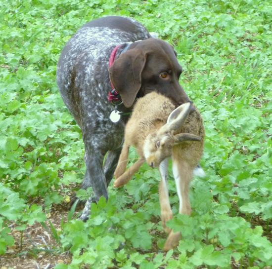 Diane - 2 ans 1/2