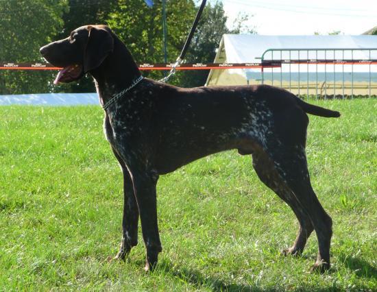 Django - 2 ans