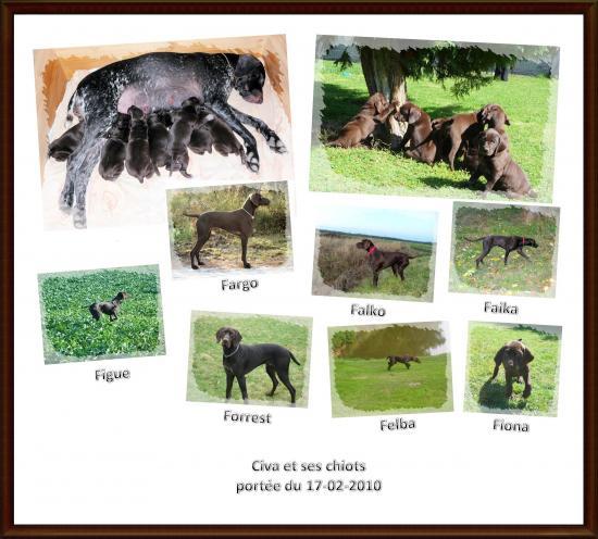 1 an déjà ! (montage photos)