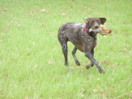 Diane - 2 ans 1/2