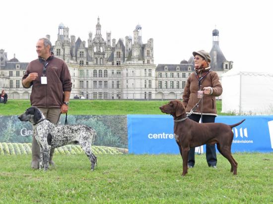 Grymm's sur le ring de présentation au Game Fair 2013 à Chambord