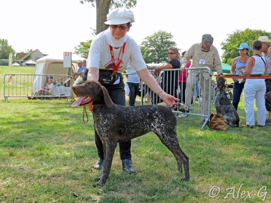 Exposition canine de Romorantin - Meilleur Baby