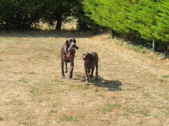 Lilou et Civa