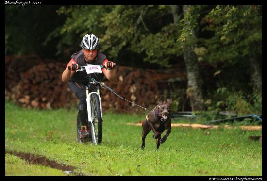 Canix-Trophée 2012 - Mauborget