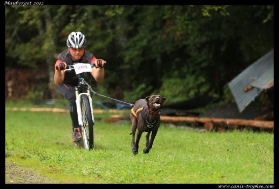 Canix-Trophée 2012 - Mauborget