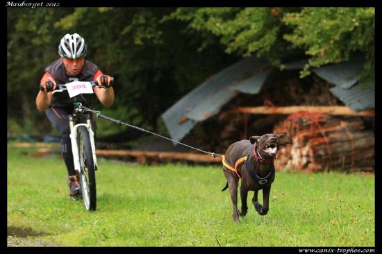 Canix-Trophée 2012 - Mauborget