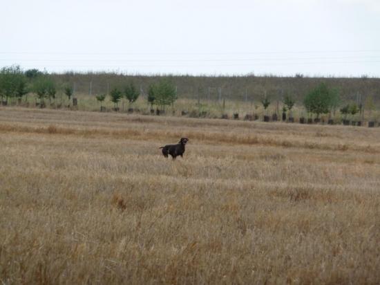 tan-2012-036.jpg